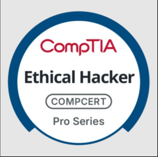 TestOut Ethical Hacker Pro